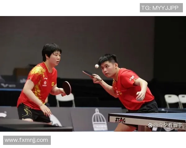 乒乓球新手必看：轻松掌握节奏与技巧的入门指南