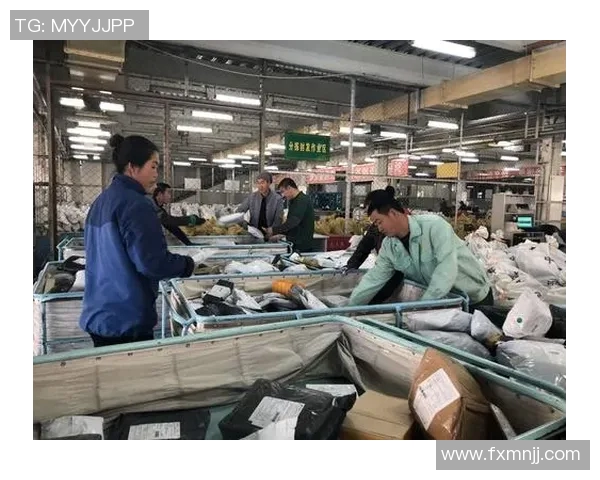 对话吴丽：回顾英雄联盟职业生涯的挑战与成就