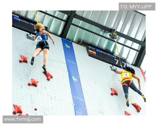 成都攀岩队的团队协作揭秘：挑战极限的激情与默契之旅