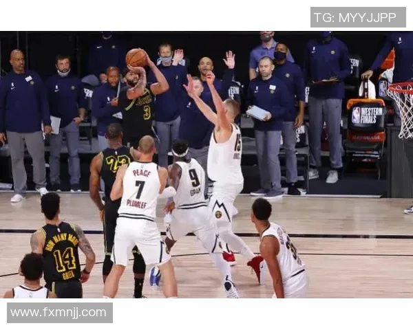 2020年湖人与掘金季后赛精彩回顾及关键时刻分析视频分享